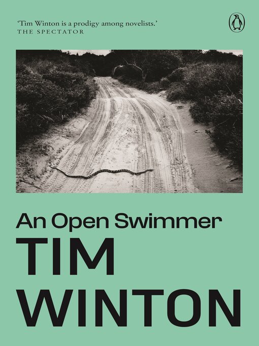 Cover image for An Open Swimmer
